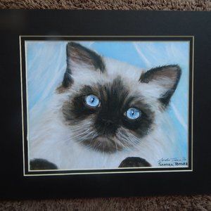 Double matted print 11 x 14 Birman Cat